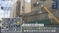 「クマが袋をあさっている」仙台市内の住宅街で目撃
