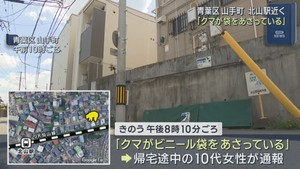 「クマが袋をあさっている」仙台市内の住宅街で目撃