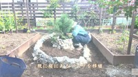 ハーブを移植して完成／投稿主さん提供