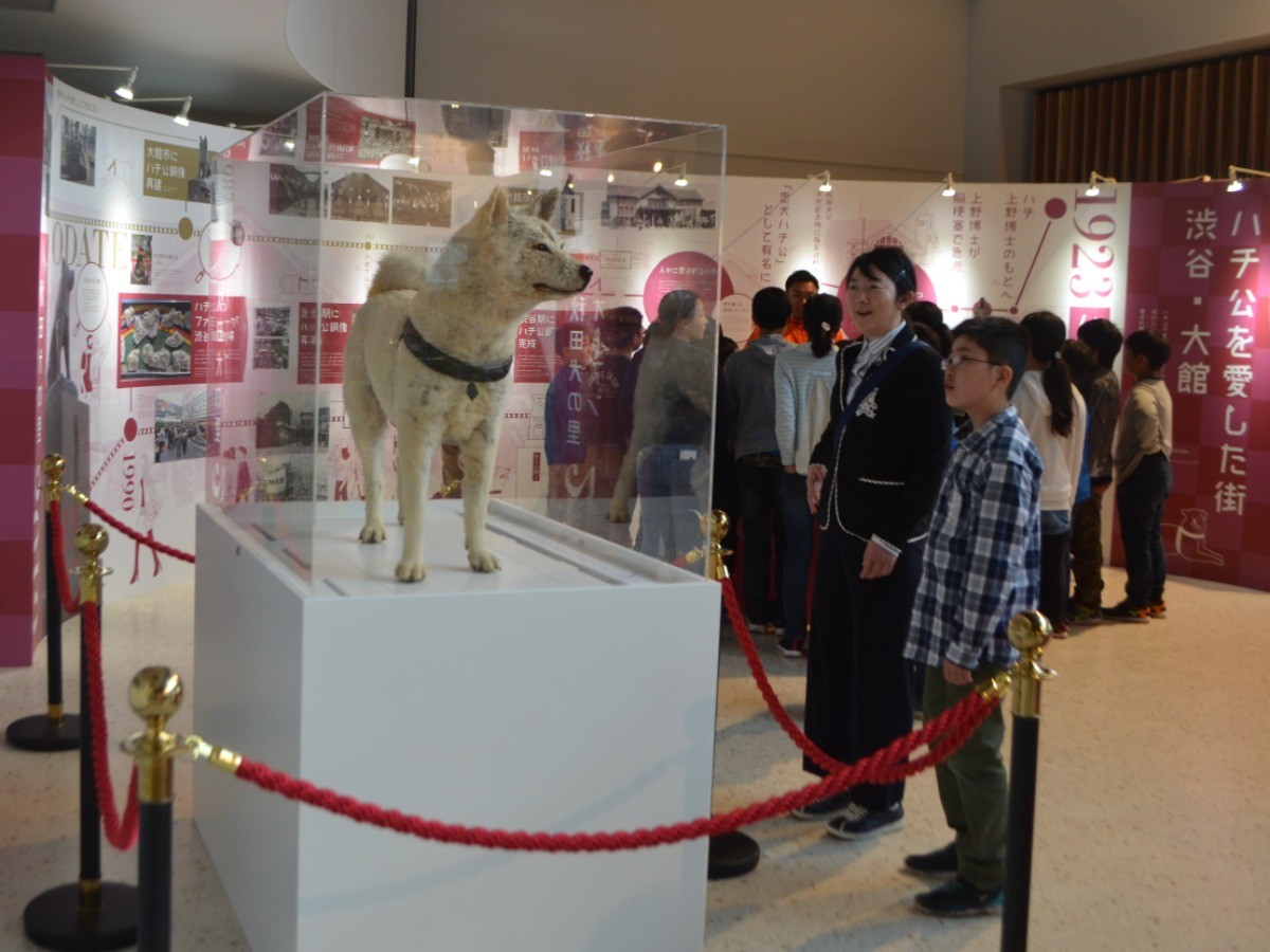 fe8916a9768997b768265545447268