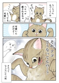 【漫画】『ネコまんがまとめ』17　（も～さんの提供）