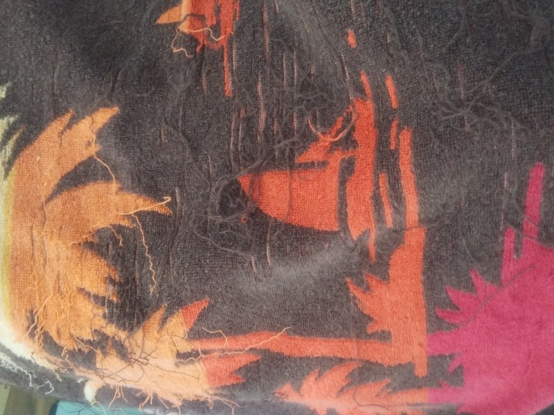 ボロボロにされたバスタオル。今は猫の入れない部屋でホコリ除けにしていますが、爪がひっかかるのが楽しいんでしょうか……