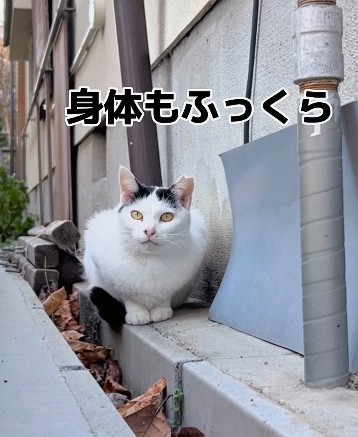 身体もふっくらに（三吉さん提供、Instagramよりキャプチャ撮影）