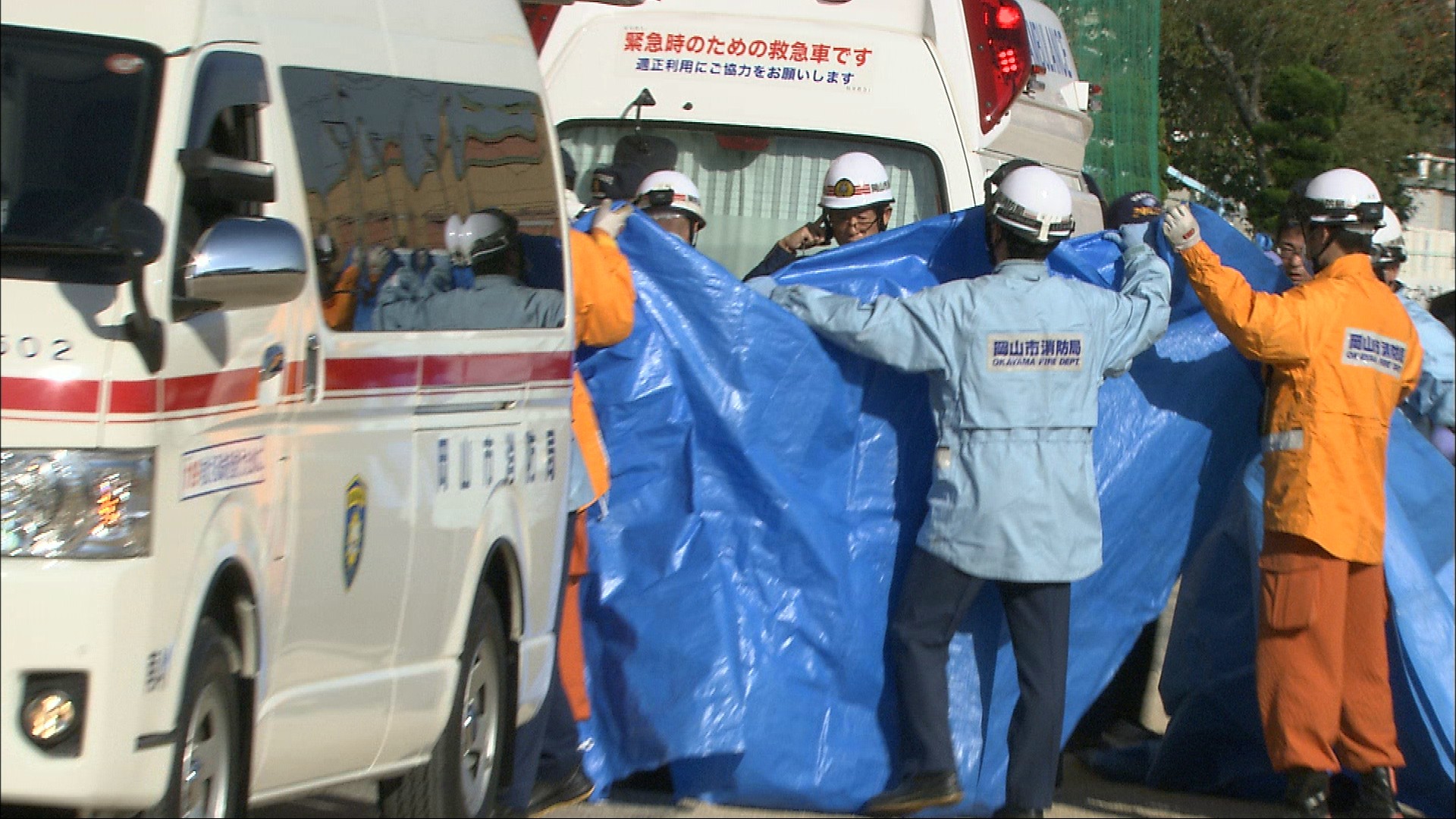 活動歴および当時の関連ビジュアル記録