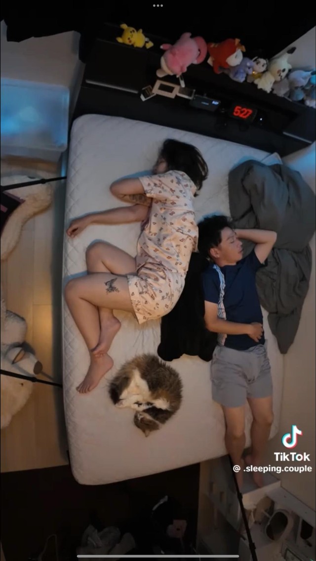 三角形のフォーメーションが完成。夫婦＋猫の“安眠トリオ”／爆睡夫婦 -Sleeping Couple-さん（@.sleeping.couple）提供