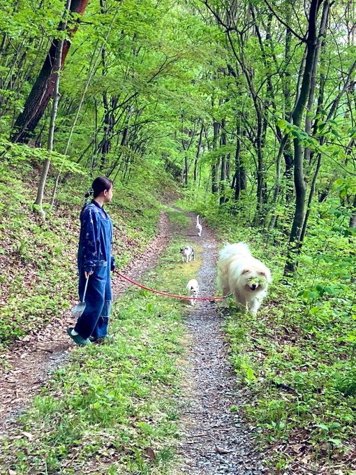 みんなで仲良くおさんぽです（たすけのかあさんTwitterより）