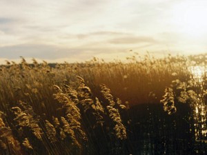 気付いたときには遅い独りよがりの私。絶交から4年で伝えたいこと