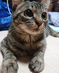 きょんさんお気に入りの一枚