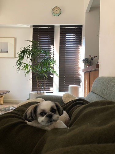 「かーちゃんに　くっついてると　おちつくんだよね」