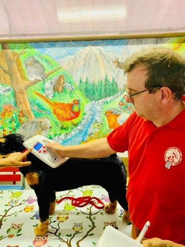 スイスはマイクロチップを義務付け。子供たちにマイクロチップの意味や意義を説明するそう