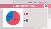 あなたは犬派？猫派？【みんなに聞いてみた】