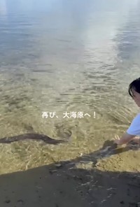 ウツボは大海原へ旅立ちます／投稿主さん提供