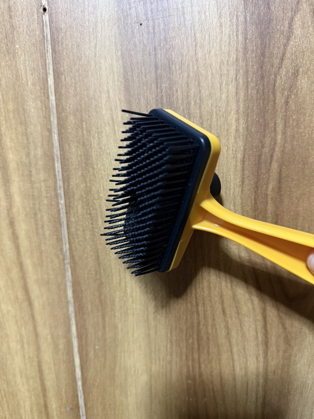 今回使ったのは、100均の“黒いボタンを押すとブラシに溜まった毛を押し出せる便利ブラシ（「まそっぷ」さん提供）