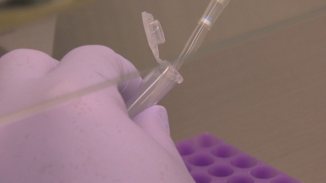 香川県の新規感染者は351人　5日連続で300人超〈新型コロナ〉