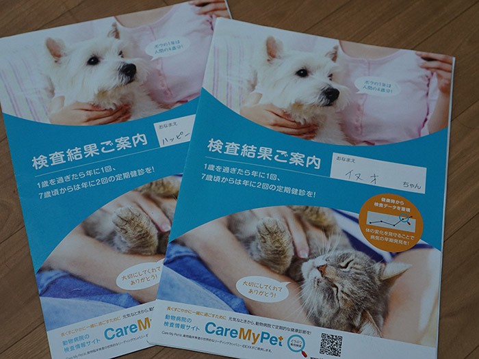 はっぴーと一緒に検査をしました