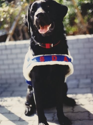 在りし日の介助犬ワカ　強い絆で結ばれていた