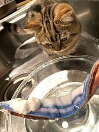 洗われる相棒を心配しています