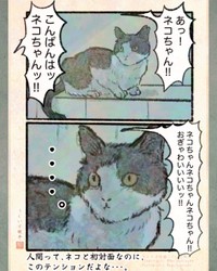 【漫画】『今日もネコ様の圧が強い』9　©Uguisu Utako