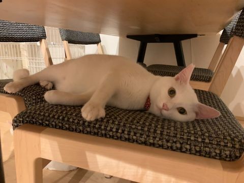 うるちくんは、もちくんより早く、少しずつ慣れてくれた。