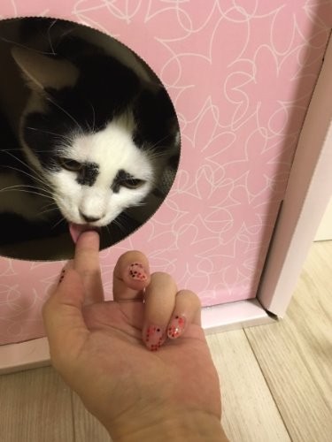 おやつを舐めるなど少しづつ家族と距離が縮んだ