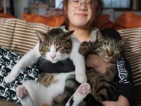12月に迎えた４匹の猫たちは「みんな宝物」　今も昔も、猫に助けられてきた