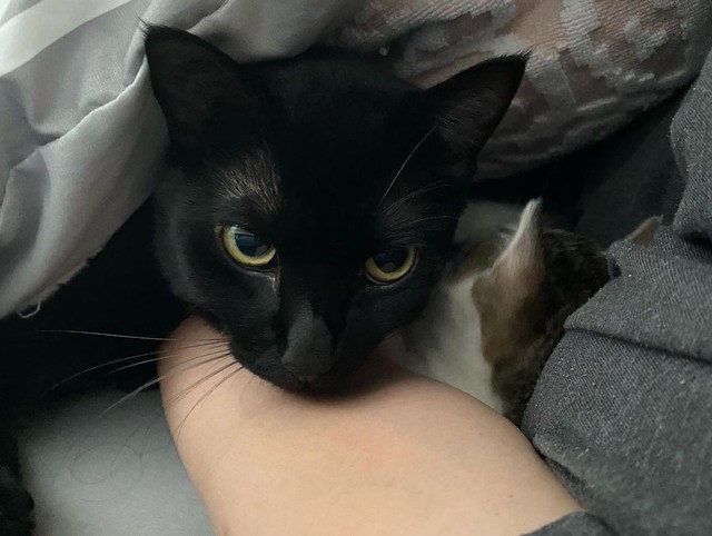 寒いからくっついていよう