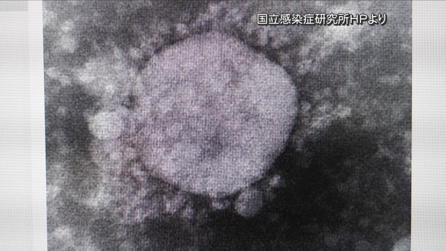 【速報】岡山県で初　変異ウイルスに2人が感染　海外滞在歴なし