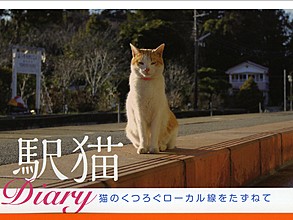 ローカル線の駅に暮らす３匹の “駅猫”　ほのぼの写真日記