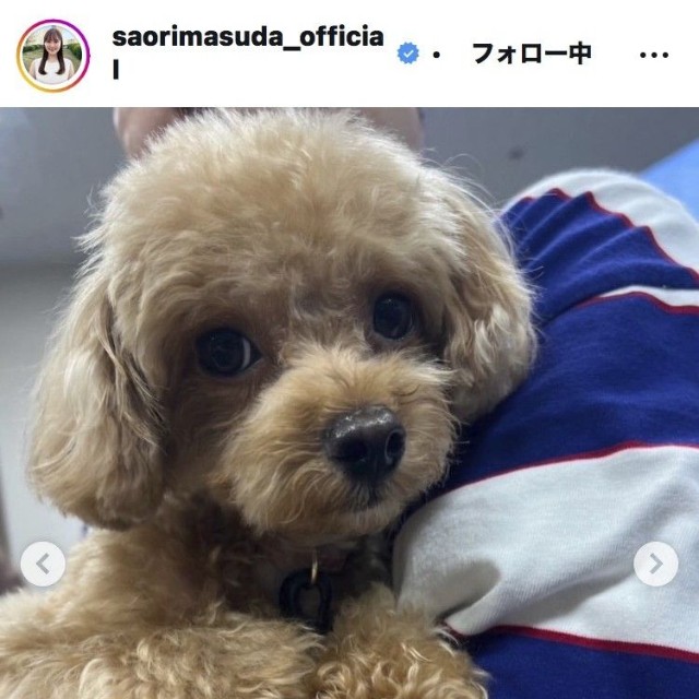 増田紗織アナウンサーのインスタグラム＠saorimasuda_officialより