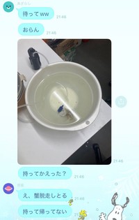事件はこのやり取りから始まった…（提供：Ukeyさん）