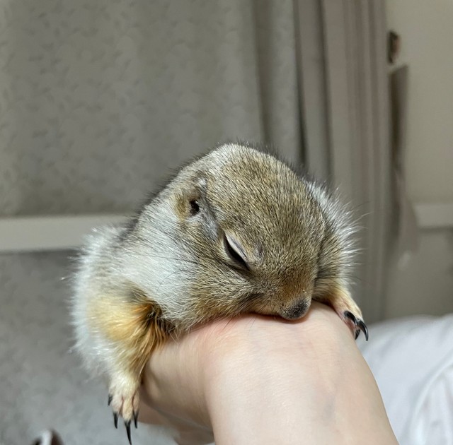 怒ってる！？（提供写真）