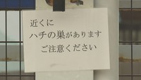 JR庭瀬駅（岡山市）にハチの群れ