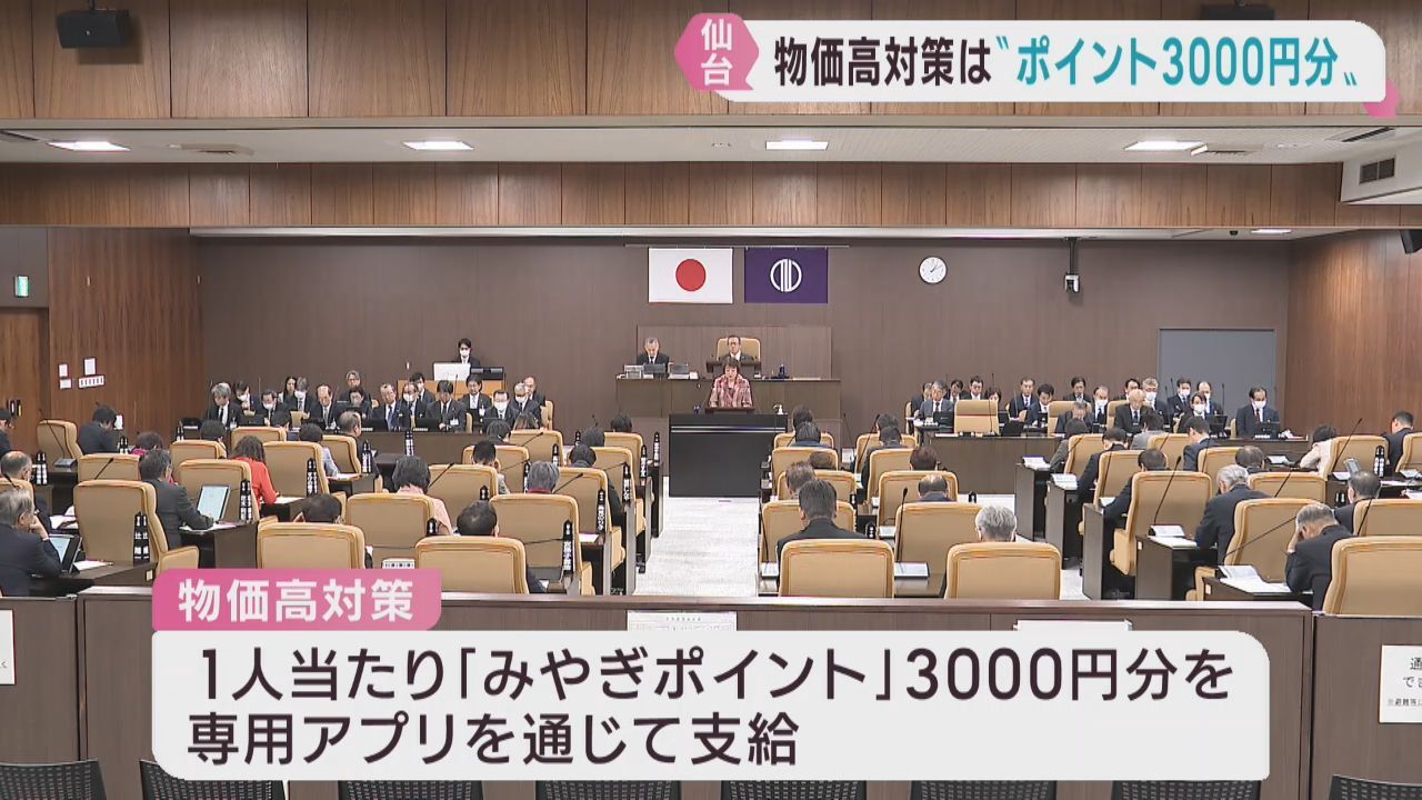 市民１人に３０００円分のポイントを支給　仙台市の補正予算案