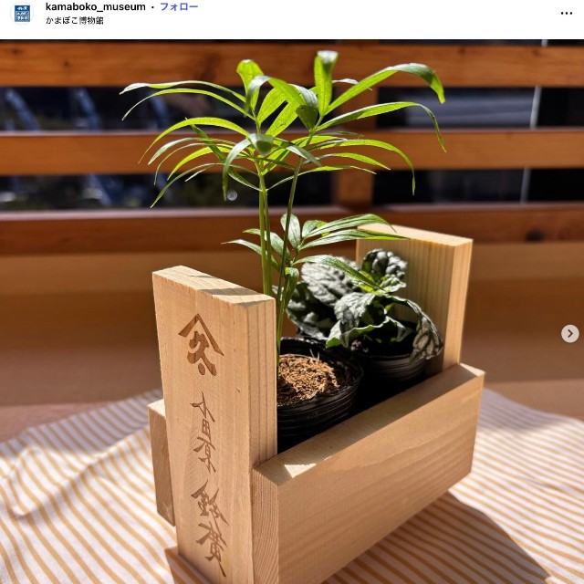 かまぼこ板で作ったプランター（「鈴廣かまぼこ博物館」公式インスタグラムから）