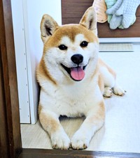 にこにこ笑顔が愛らしい涼夏ちゃん（画像提供：Kさん）