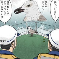 カモミンが海に落ちてなくてよかった…（タニシさん提供）