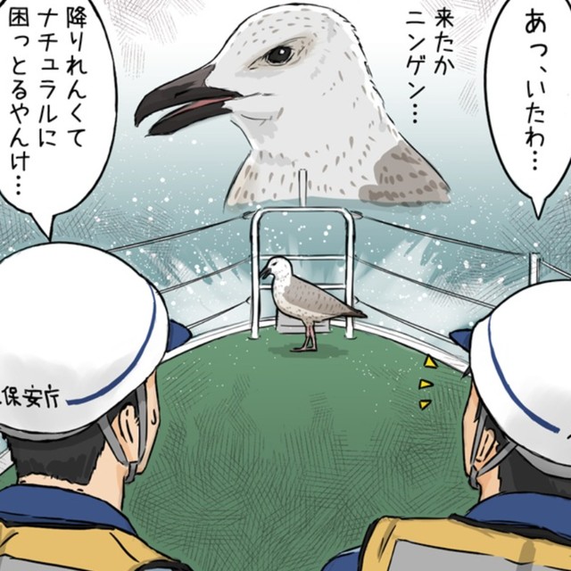 カモミンが海に落ちてなくてよかった…（タニシさん提供）