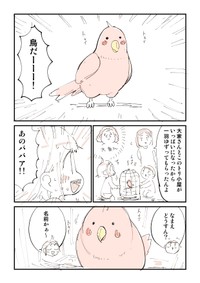 【漫画】『【閲覧注意】ともだちに不死鳥を逃がされた話』3（ぬこー様ちゃんさん提供）