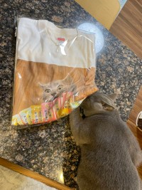 Tシャツもおもちゃにしてしまう＝おいでやすブリオさん（@burio0522）提供