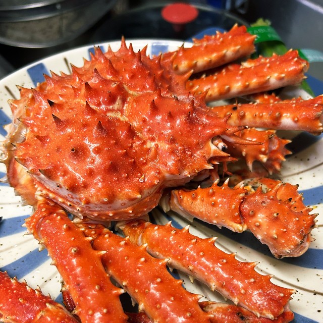 茹でたカニ。タラバガニにしてはトゲが大きいような…？／杉谷龍一さん（@kitaboshi_）提供