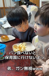 「パン食べないと保育園行けないよ」と1歳弟を諭す3歳兄（お母さん「Ryo.Kei...」提供、Instagramよりキャプチャ撮影）