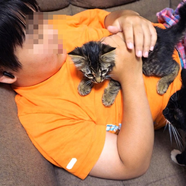 Rくんに抱っこされるトントンくんと、それを見つめるヤンヤンくん