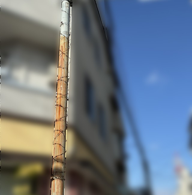 建物のすぐそばに信号機。よじ登れば、建物上階ベランダにたやすく侵入できるほどの距離です（松永さん提供画像）