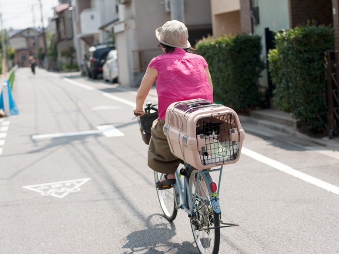 「しっかりこいでよ、おばちゃん。車窓を眺めるのは楽しいよ」（小林写函撮影）
