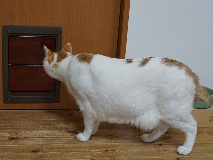 室内も過ごしやすい工夫がいっぱい