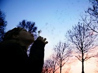 ラベルではなく個人を見てほしい。DINKsを選んだ私たちの生き方