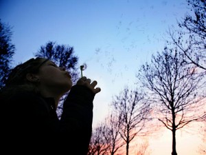 ラベルではなく個人を見てほしい。DINKsを選んだ私たちの生き方