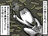 ゆうさんの夫の母への手土産として畑の野菜を慌てて収穫（ゆう｜ノープロブレムキャットさん提供）