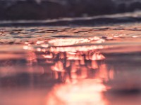 レズビアンとして生きていると彼に言うつもりはない