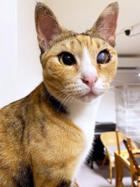 すくすくと成長したさごしちゃん（画像提供：ネムノキさん）